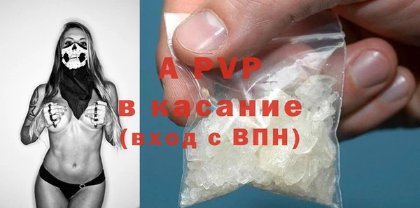 стафф Зеленокумск