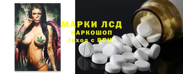 PSILOCYBIN Зеленодольск
