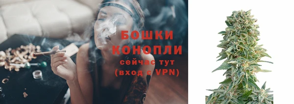 PSILOCYBIN Зеленодольск