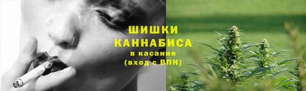 стафф Зеленокумск