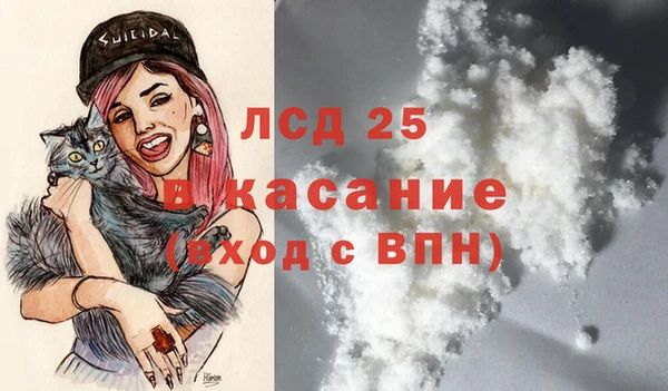 стафф Зеленокумск