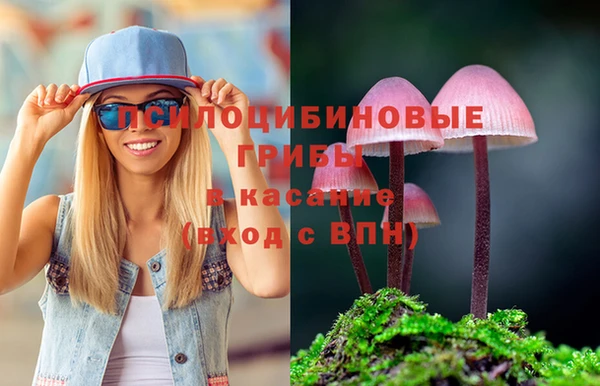 PSILOCYBIN Зеленодольск