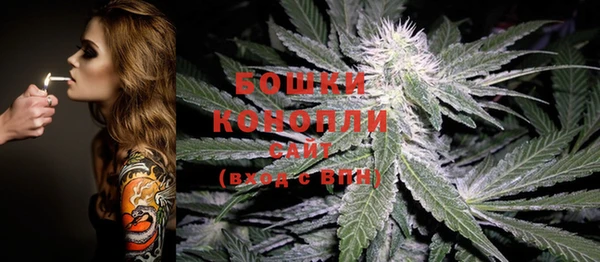 стафф Зеленокумск