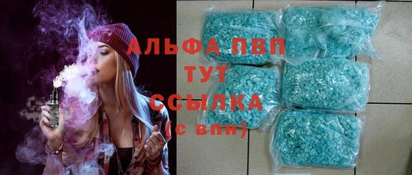 стафф Зеленокумск