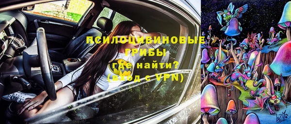 стафф Зеленокумск