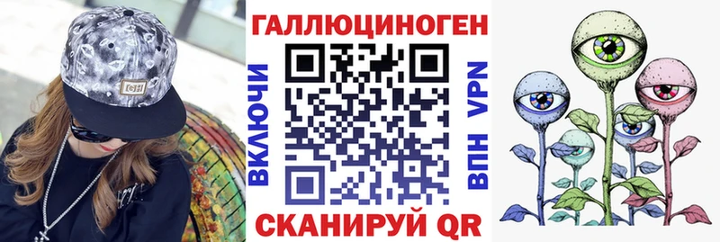 Купить закладки  Ельня  Псилоцибиновые грибы мицелий 